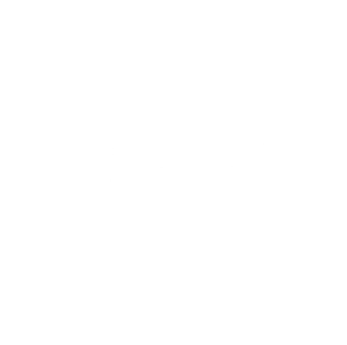 Messers Cardio Club